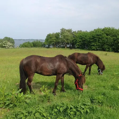 Vakantiehuis 6 Person In Aabenraa-by Traum