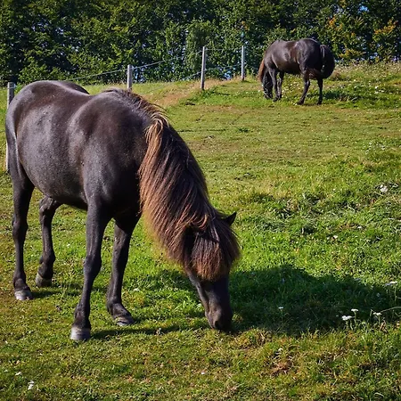 6 Person In Aabenraa-by Traum 度假居 奥本罗